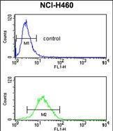 CCNB1IP1 Antibody in Flow Cytometry (Flow)