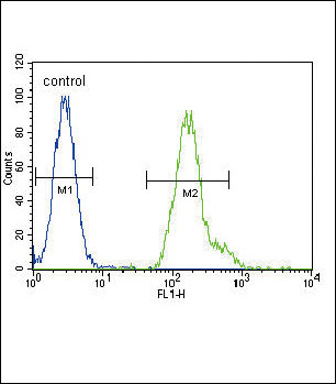 C/EBP alpha Antibody in Flow Cytometry (Flow)