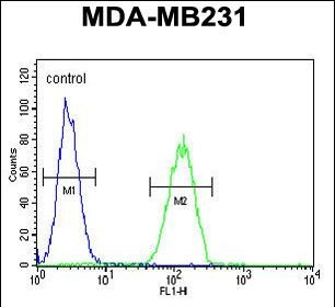 Oxytocin Antibody in Flow Cytometry (Flow)