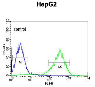 HFE2 Antibody in Flow Cytometry (Flow)