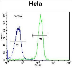 FAM40A Antibody in Flow Cytometry (Flow)