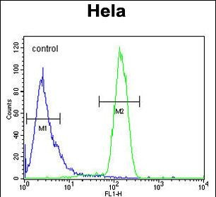 STING Antibody in Flow Cytometry (Flow)