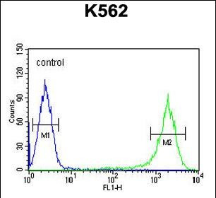 GAGE7 Antibody in Flow Cytometry (Flow)