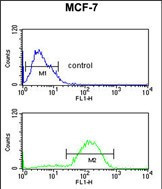 HSD11B2 Antibody in Flow Cytometry (Flow)