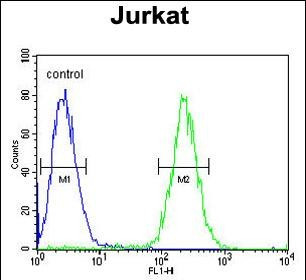 GNAT1 Antibody in Flow Cytometry (Flow)