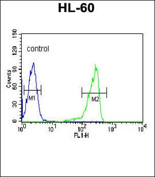 Calpain 3 Antibody in Flow Cytometry (Flow)