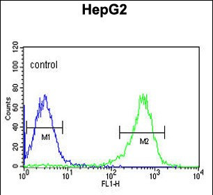 PYCR1 Antibody in Flow Cytometry (Flow)