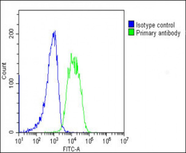 AMH Antibody in Flow Cytometry (Flow)