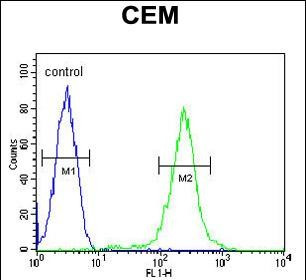 Properdin Antibody in Flow Cytometry (Flow)