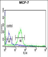 TAF2 Antibody in Flow Cytometry (Flow)