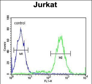 IMMP2L Antibody in Flow Cytometry (Flow)