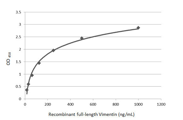 Vimentin Antibody in ELISA (ELISA)