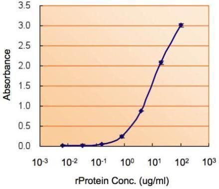 MIF Antibody in ELISA (ELISA)