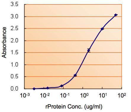 ALDH2 Antibody in ELISA (ELISA)