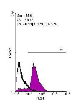 OCT4 Antibody in Flow Cytometry (Flow)