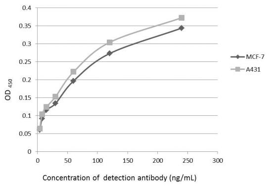 Glypican 1 Antibody in ELISA (ELISA)