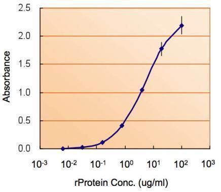 Nodal Antibody in ELISA (ELISA)