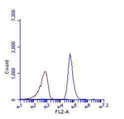 LC3B Antibody in Flow Cytometry (Flow)