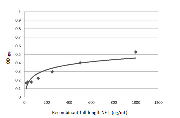 NEFL Antibody in ELISA (ELISA)