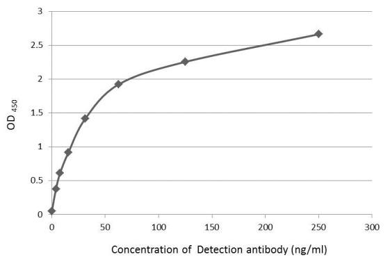 IL-22 Antibody in ELISA (ELISA)