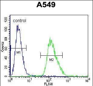 beta Arrestin 1 Antibody in Flow Cytometry (Flow)