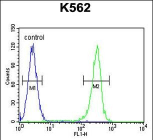 WRN Antibody in Flow Cytometry (Flow)