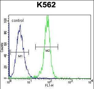 STUB1 Antibody in Flow Cytometry (Flow)