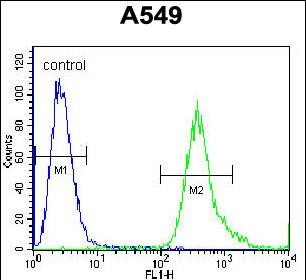 SLC25A6 Antibody in Flow Cytometry (Flow)