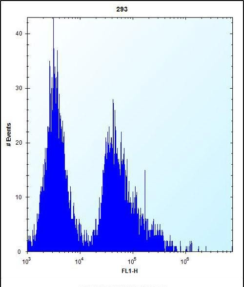 GSTT1 Antibody in Flow Cytometry (Flow)