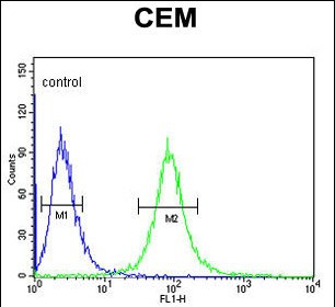 CD46 Antibody in Flow Cytometry (Flow)