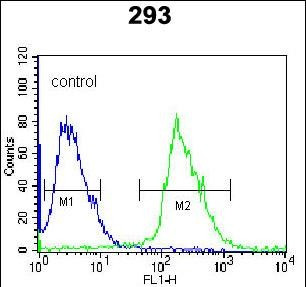 Kallikrein 6 Antibody in Flow Cytometry (Flow)