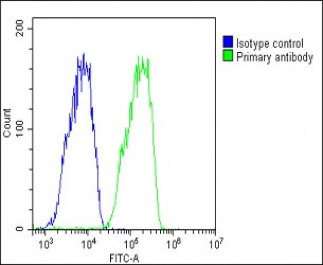 Transthyretin Antibody in Flow Cytometry (Flow)