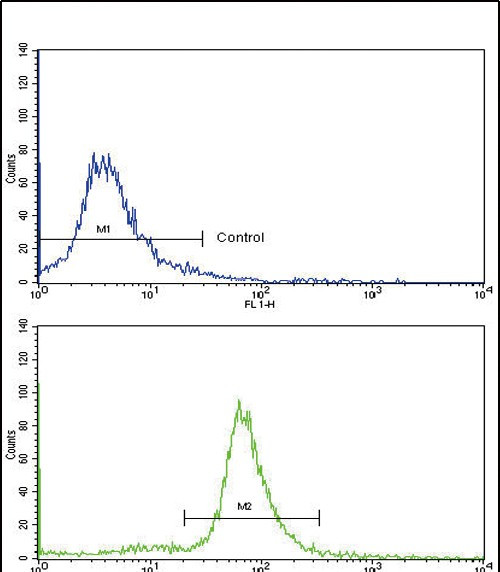 OTC Antibody in Flow Cytometry (Flow)