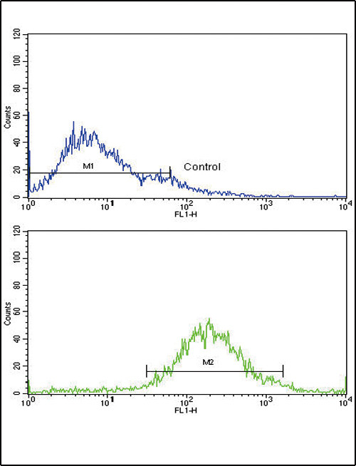 IGFBP2 Antibody in Flow Cytometry (Flow)