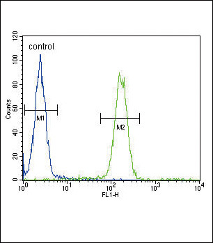 alpha-ENaC Antibody in Flow Cytometry (Flow)