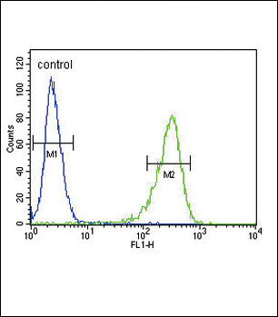 OAT Antibody in Flow Cytometry (Flow)