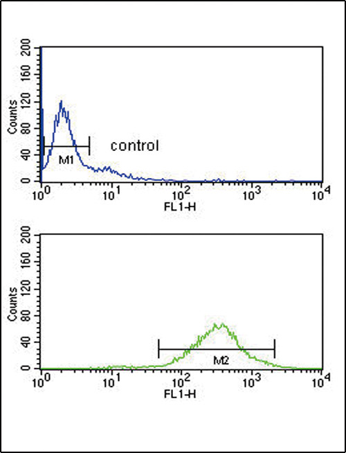 GOT2 Antibody in Flow Cytometry (Flow)