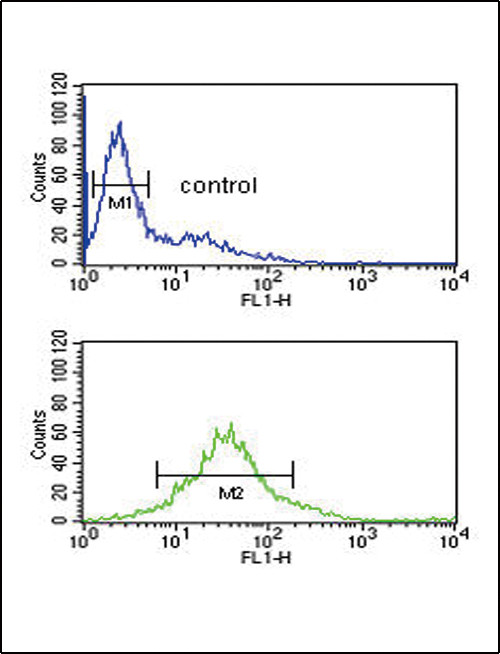 PDK2 Antibody in Flow Cytometry (Flow)