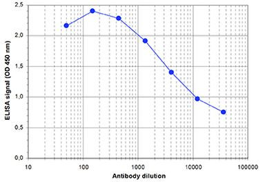 SETD1B Antibody in ELISA (ELISA)