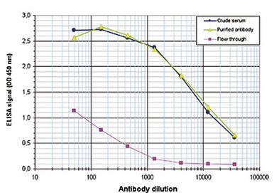 H2A.Zac pan-acetyl (K4,K7,K11) Antibody in ELISA (ELISA)