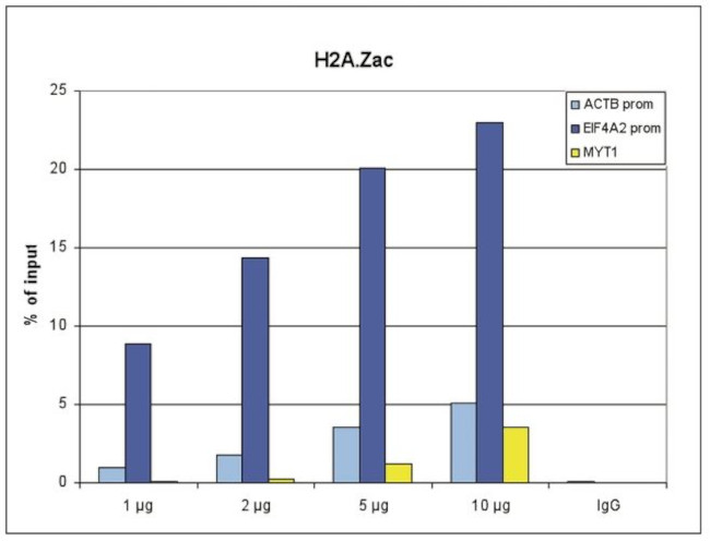 H2A.Zac pan-acetyl (K4,K7,K11) Antibody in ChIP Assay (ChIP)