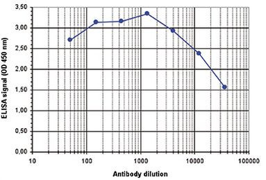 H2BK12ac Antibody in ELISA (ELISA)