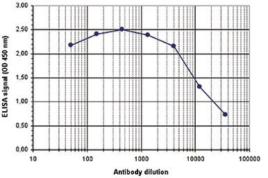 H3K56ac Antibody in ELISA (ELISA)