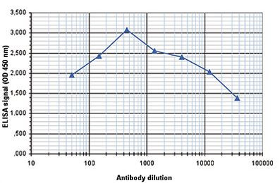 H2AK5ac Antibody in ELISA (ELISA)