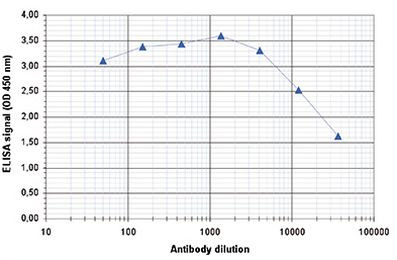 H2BK15ac Antibody in ELISA (ELISA)