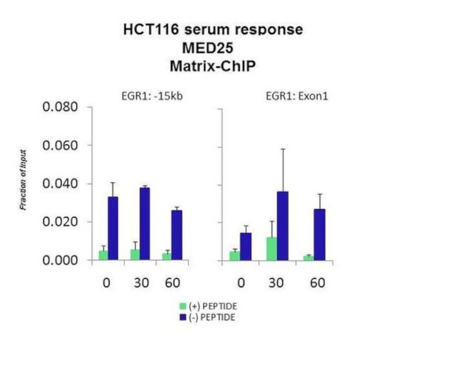 MED25 Antibody in ChIP Assay (CHIP)