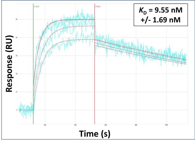 FGF21 Antibody in Surface plasmon resonance (SPR)