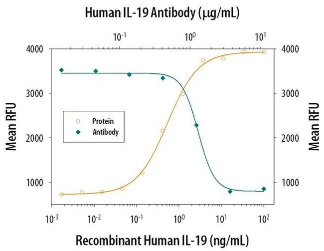 IL-19 Antibody