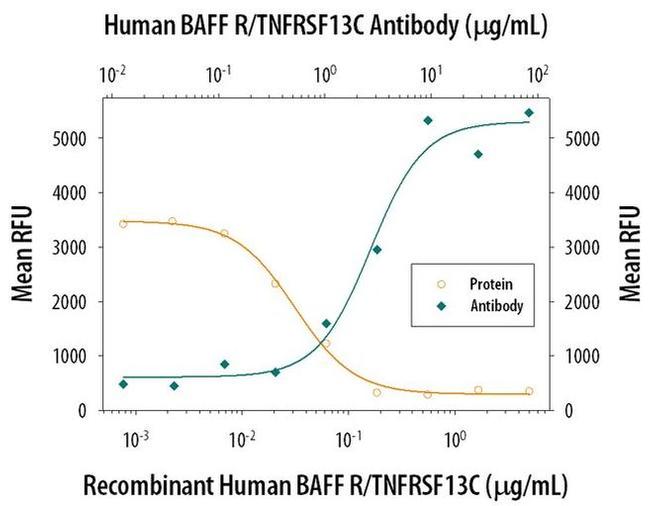 CD268 (BAFF Receptor) Antibody