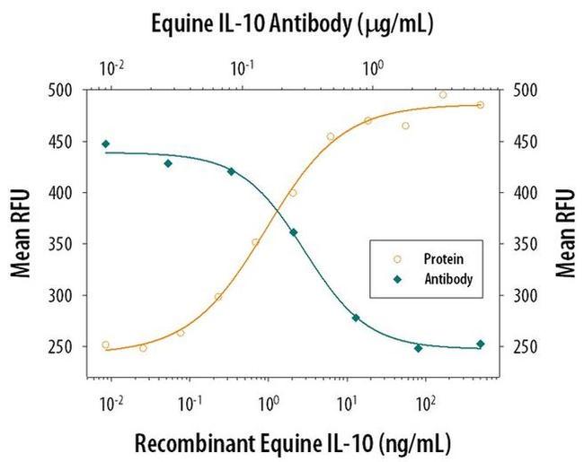 IL-10 Antibody